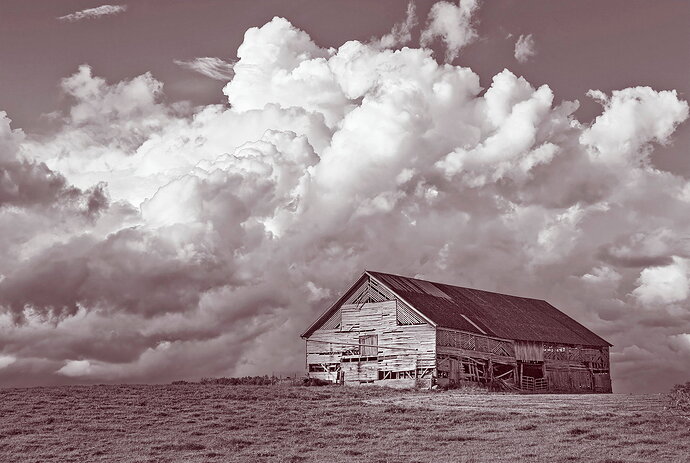 PROMO-Quick Action - Duotone
